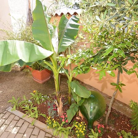 Apartmani Dekovic Materada Porec Ngoại thất bức ảnh
