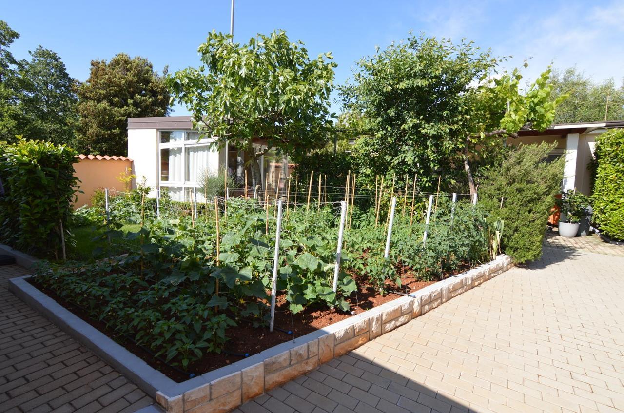Apartmani Dekovic Materada Porec Ngoại thất bức ảnh